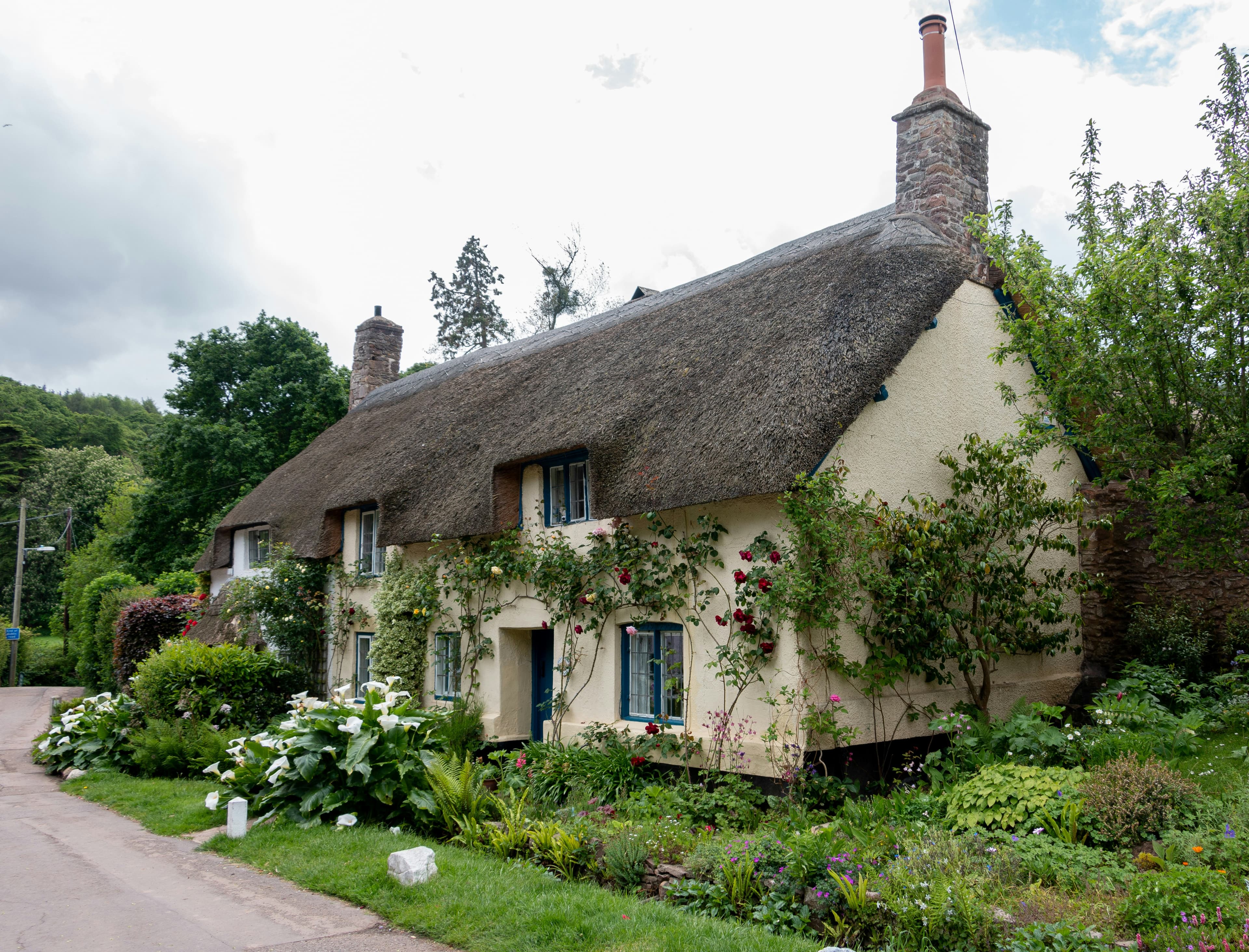 A thatched English cottage surrounded by greenery